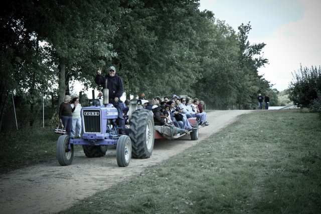 Enjoying the hayride at the Afton Apple Orchard